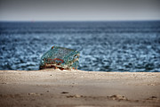Lost and found lobster trap Photograph by Jeff Folger