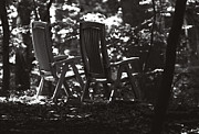 Lost and Found Photograph by Rebecca Sherman