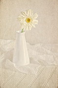 Love and Joy Photograph by Kim Hojnacki Love and Joy Photograph by Kim Hojnacki