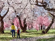Lovely Spring Day For a Walk Photograph by Susan Savad Lovely Spring Day For a Walk Photograph by Susan Savad
