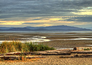 Low Tide Photograph by Randy Hall