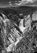 Lower Falls of Yellowstone B W Photograph by Jemmy Archer