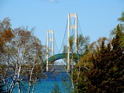 Mackinac Bridge Birches Photograph by Keith Stokes