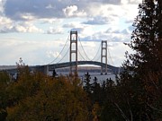 Mackinac Bridge Through the Trees Photograph by Keith Stokes