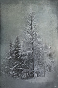 Mackinaw Michigan Winter Photograph by Evie Carrier