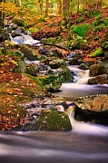Madison Cascades Photograph by Jeff Sinon