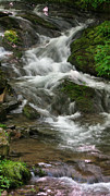 Magical Stream Photograph by Jason Denis
