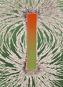 Magnetic Field Photograph by Science Photo Library