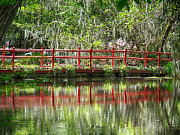Magnolia Gardens Red Bridge Photograph by Bill Barber