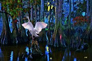 Magnolia Moon Painting by CHAZ Daugherty