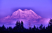 Majestic Photograph by Rory Siegel