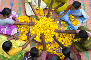Making Flower Garlands Photograph by Tim Gainey