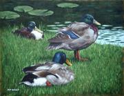 Mallards On River Bank Painting by Martin Davey