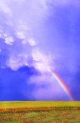 Mammatus Rainbow of New Mexico Photograph by Jason Politte