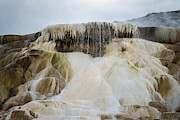 Mammoth Hot Springs, Wy Photograph by Mark Newman