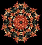 Mandala Daylily Photograph by Nancy Griswold Mandala Daylily Photograph by Nancy Griswold