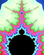 Mandelbrot Set:- Cos Antenna Photograph by Science Photo Library