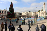 Manger Square Tree Photograph by Munir Alawi