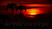 Marco Island Sunset 59 Photograph by Mark Myhaver