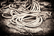 Marine ropes sepia fine art print Photograph by Matthias Hauser