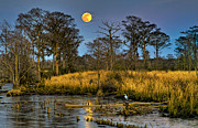 Pawleys Island Marsh Moon Photograph by Mike Covington