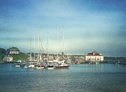 Marthas Vineyard Photograph by Kim Hojnacki Marthas Vineyard Photograph by Kim Hojnacki
