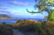 Masterpiece Coastline Photograph by Mathias 