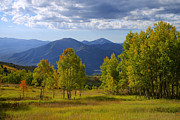 Meadow Highlights Photograph by Chad Dutson