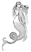 Mermaid, C1890 Drawing by Granger