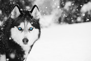 Mesmerizing Photograph by Nunweiler Photography