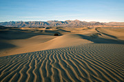 Mesquite Dunes Photograph by Darren Bradley