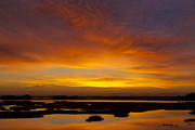 MESSAGE FROM THE UNIVERSE Sunrise Photograph By Jo Ann Tomaselli Photograph by Jo Ann Tomaselli MESSAGE FROM THE UNIVERSE Sunrise Photograph By Jo Ann Tomaselli Photograph by Jo Ann Tomaselli