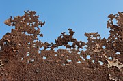 Metal Corrosion Photograph by Science Photo Library
