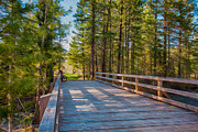 Methow Valley Community Trail at Wolf Creek Bridge Painting by Omaste Witkowski