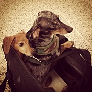 Miami Airport ... Beach Weekend ;-) Photograph by Derek Kaplan