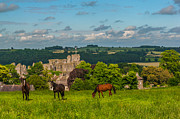 Middleham Castle Photograph by David Ross