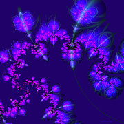 Midnight Blossoms Digital Art by Judi Suni Hall Midnight Blossoms Digital Art by Judi Suni Hall