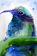 Midnight Hummer Painting by Dawn Derman Midnight Hummer Painting by Dawn Derman