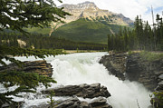 Mighty Athabascar Falls Photograph by Brenda Kean