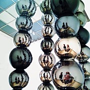 Mirrored Photograph by Natasha Marco