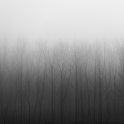 Mistery Lines Photograph by Antonio Carrillo Lopez