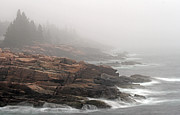 Misty Acadia National Park Seacoast Photograph by Juergen Roth Misty Acadia National Park Seacoast Photograph by Juergen Roth