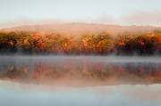 Misty Foliage Photograph by Anthony Sacco