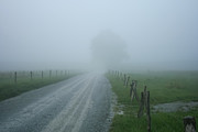Cades Cove Photograph by Doug McPherson