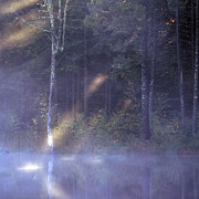 Misty Moody Morning Photograph by Laura Tucker