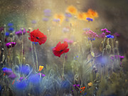 Monet's Garden I Photograph by Magda Bognar