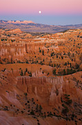 Moonrise Over Bryce Canyon Photograph by Yva Momatiuk John Eastcott
