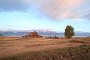 Mormon Row Sunrise Photograph by Nancy Dunivin