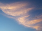 Morning Clouds Photograph by Ron Roberts