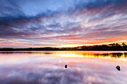 Morning Glory Photograph by Bryan Bzdula